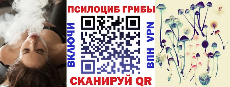 купить наркоту Всеволожск кракен tor Псилоцибиновые грибы ЛСД